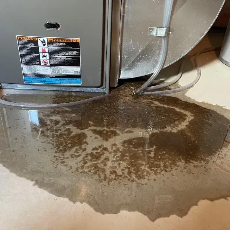 Appliance Leak Cleanup in Kannapolis, NC